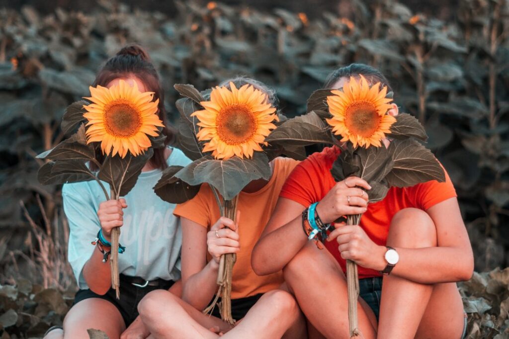 Blog 1100x733 Third Cut 2025 1024x682