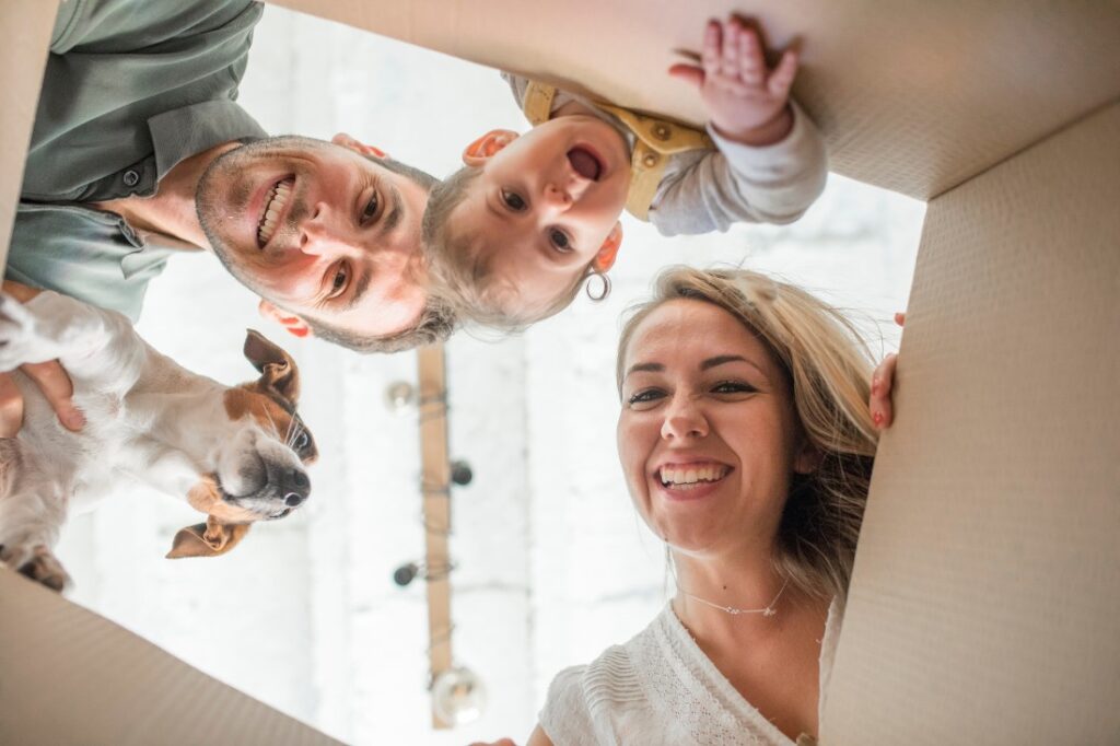 Blog 1100x733 In By Xmas 2025 1024x682