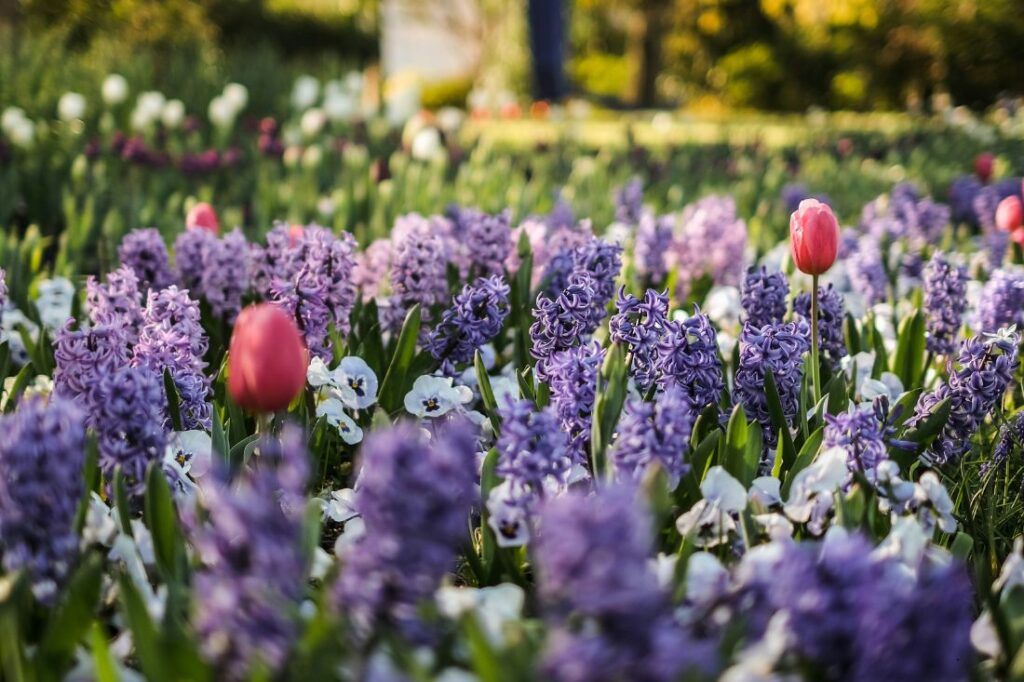 Spring selling season is here. What’s different in 2026? blog 1100x733 spring 2026